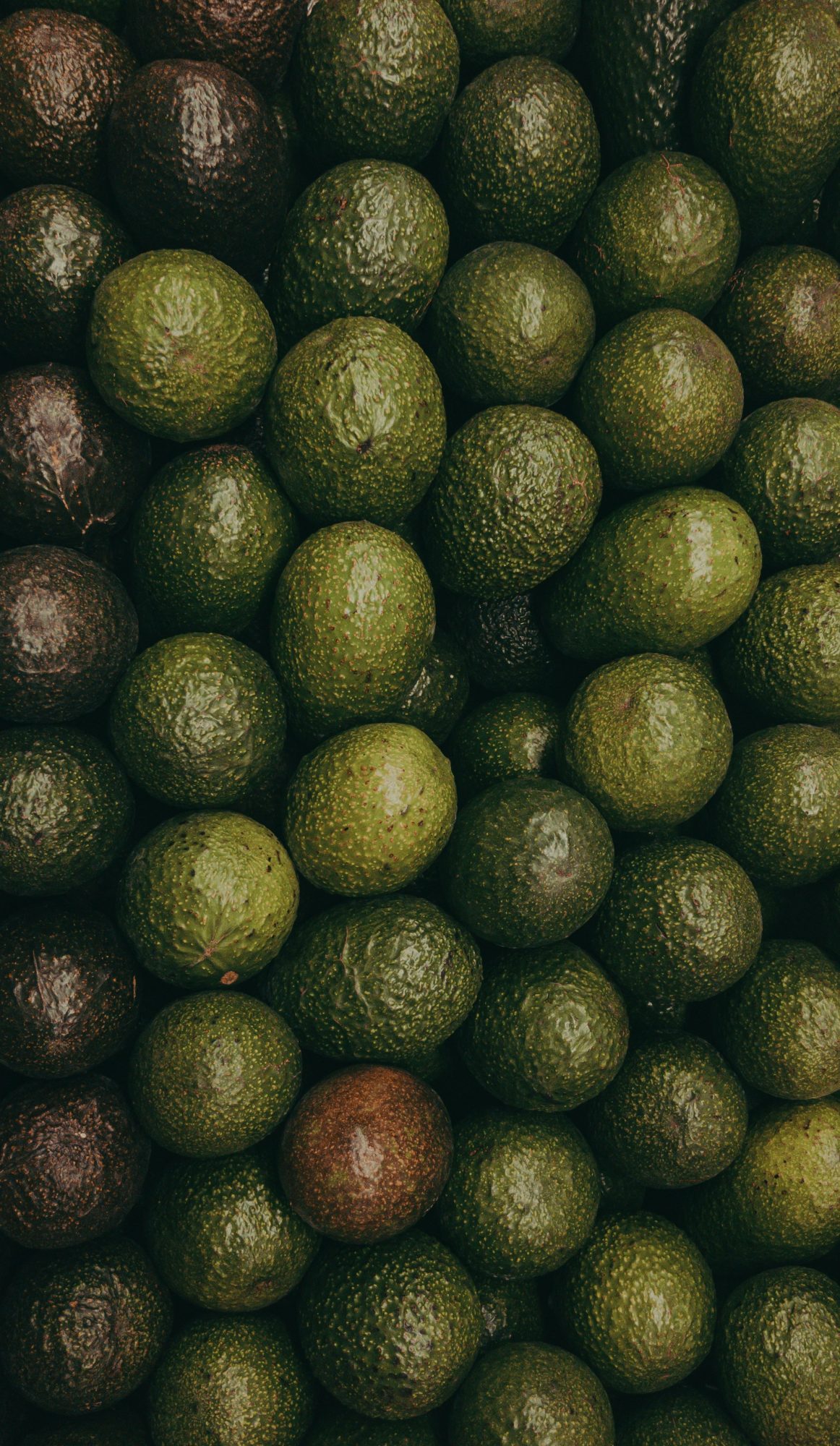 Hass Avocado