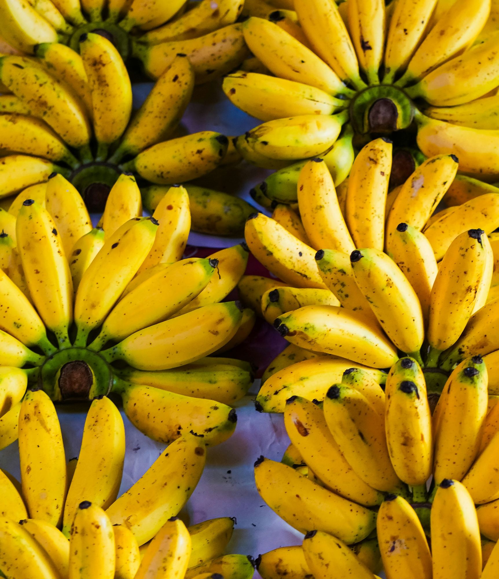 Baby Banana