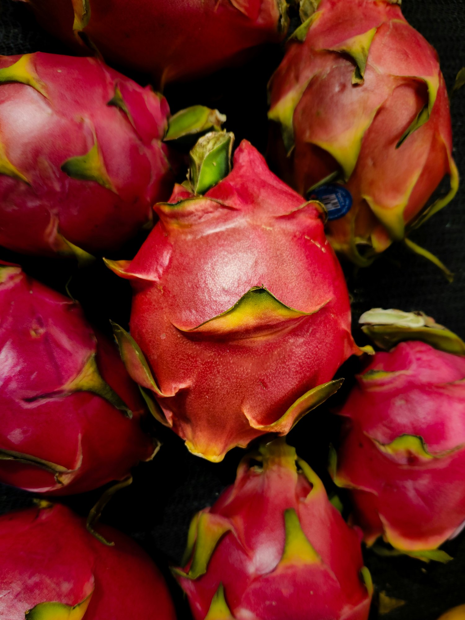 Dragon fruit