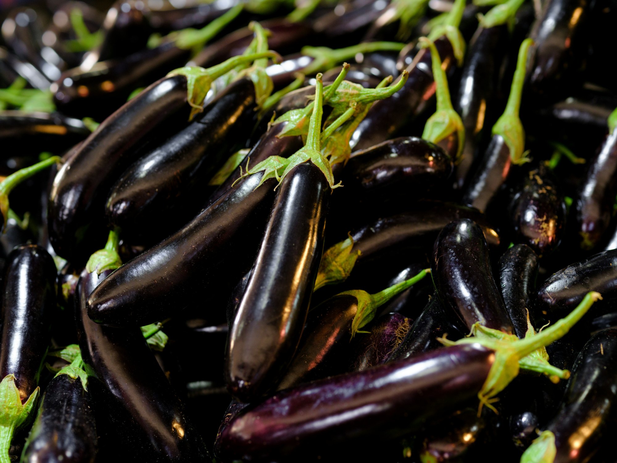 Italian Eggplant
