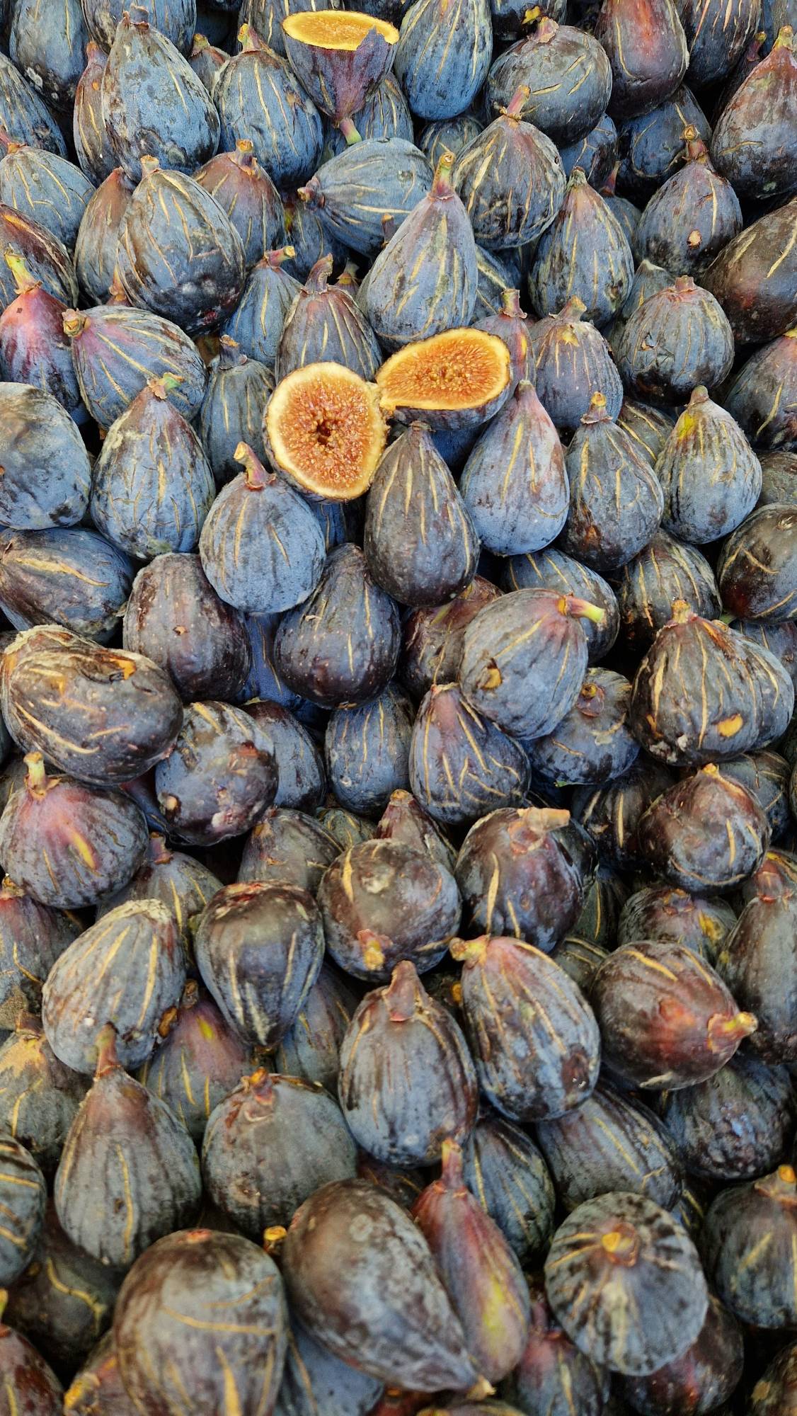 Black Mission Figs