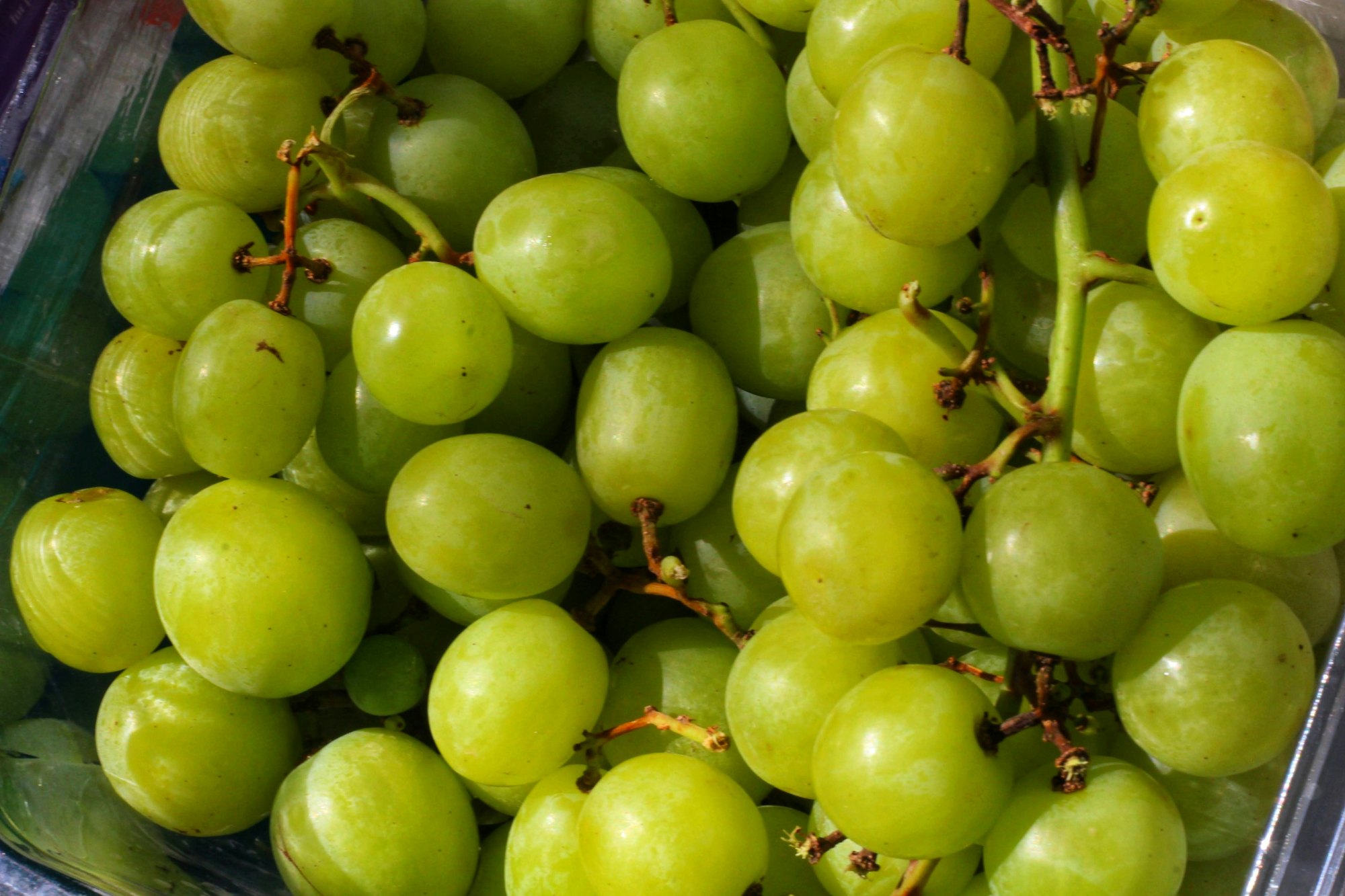 Green Grape