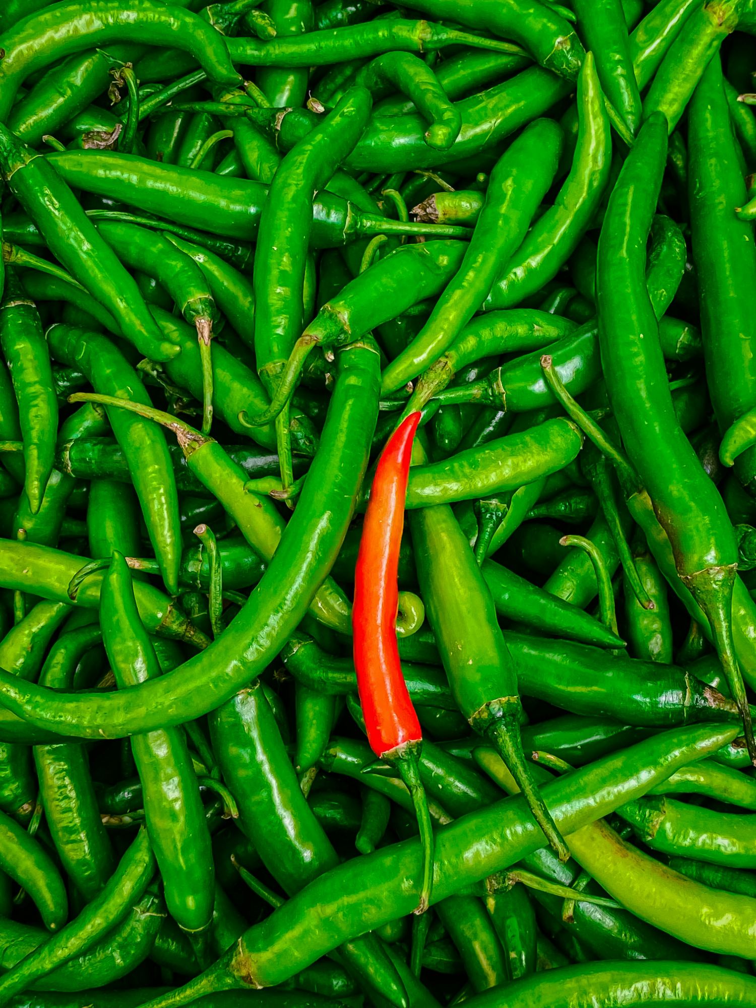Long Hot Pepper