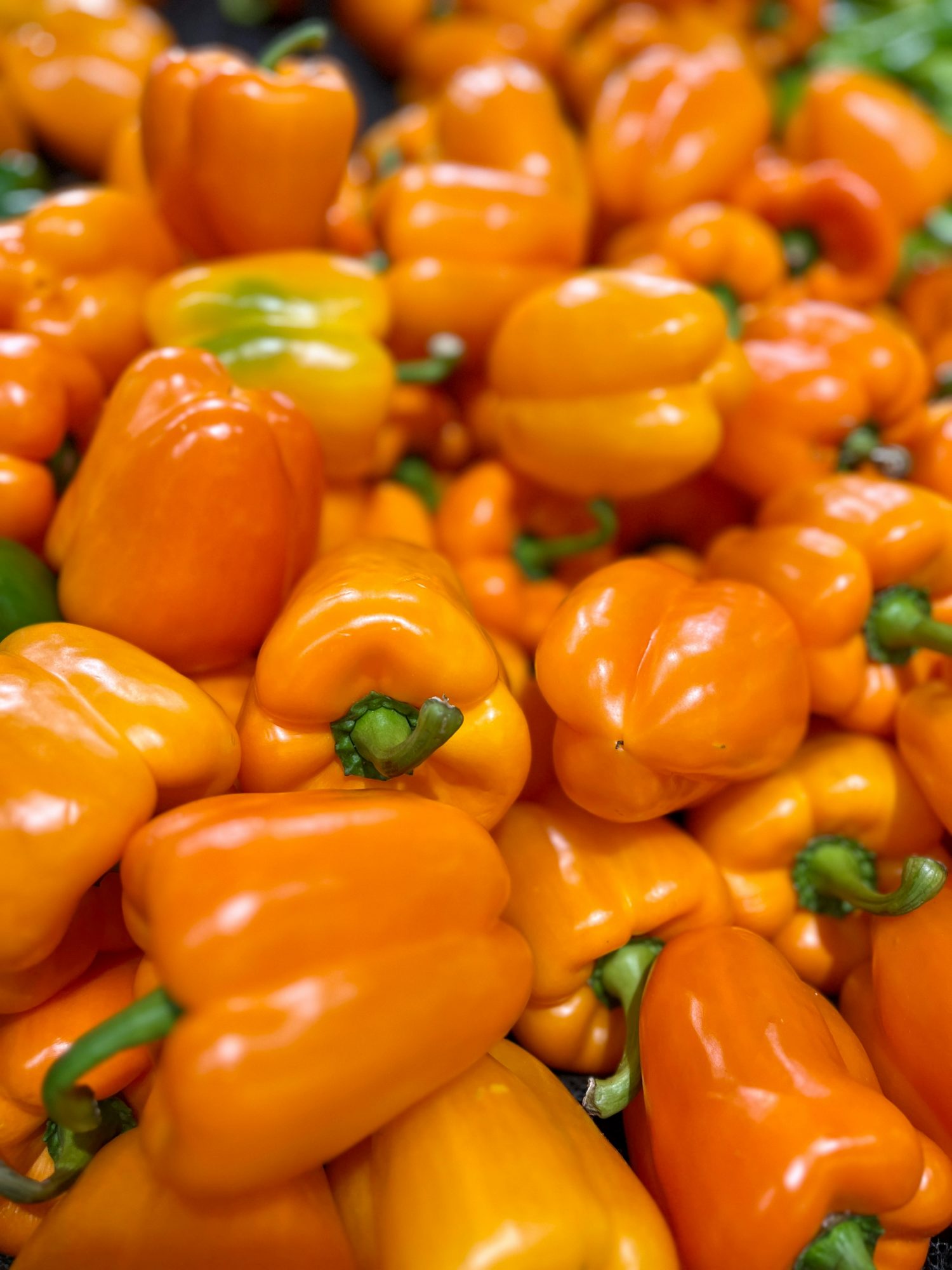 Orange Bell Pepper