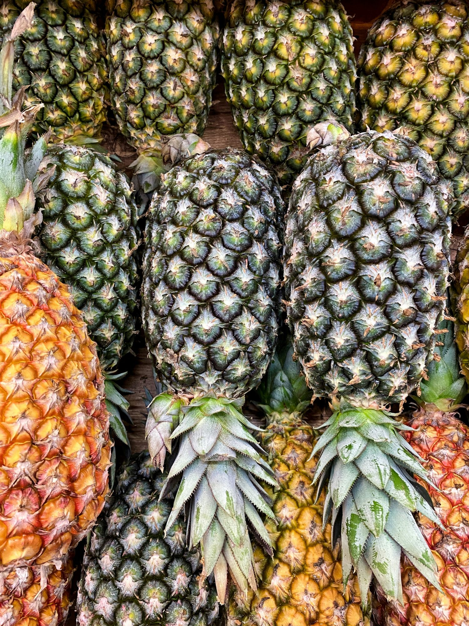 Pineapple