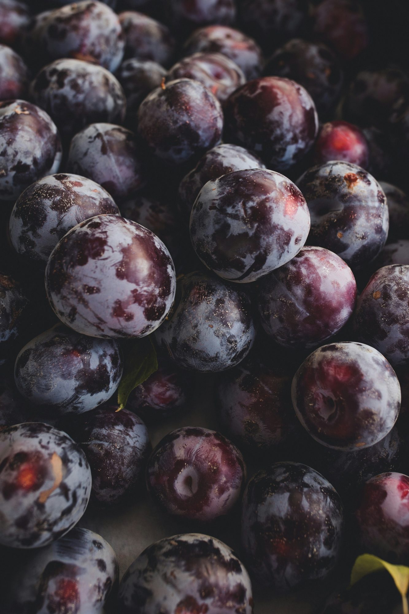 Black Plum