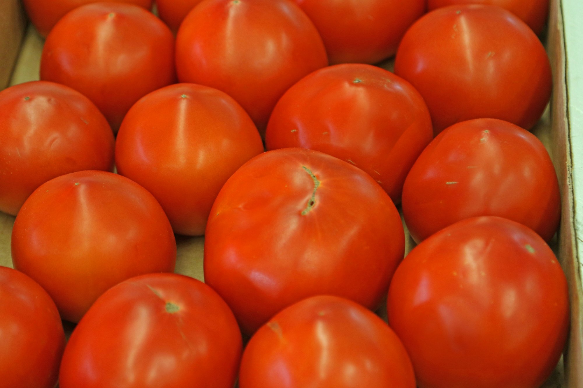 Beefsteak Tomato Box
