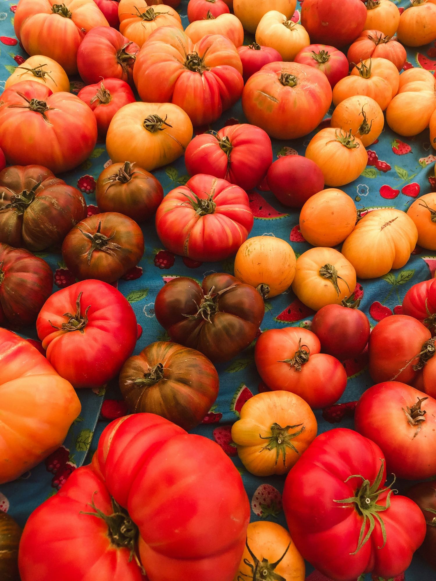 Heirloom Tomato