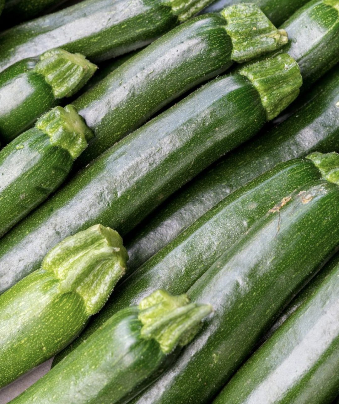 Green Zucchini