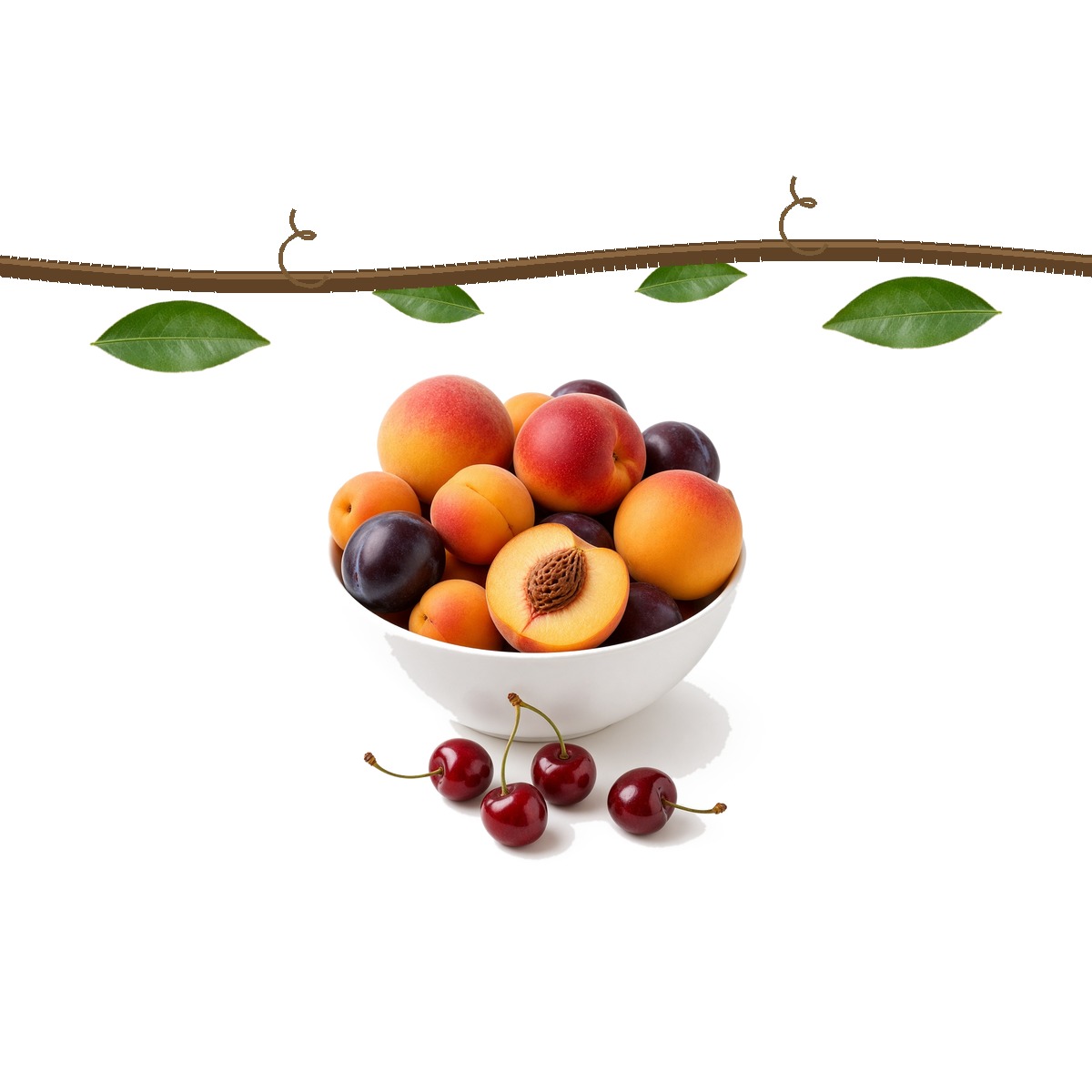 Stone fruit restocking