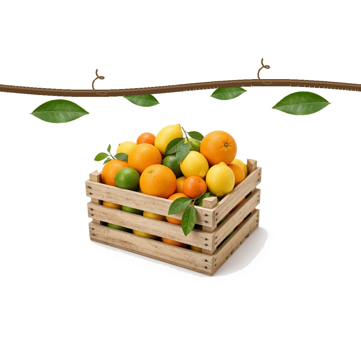 Fresh fruit on the way