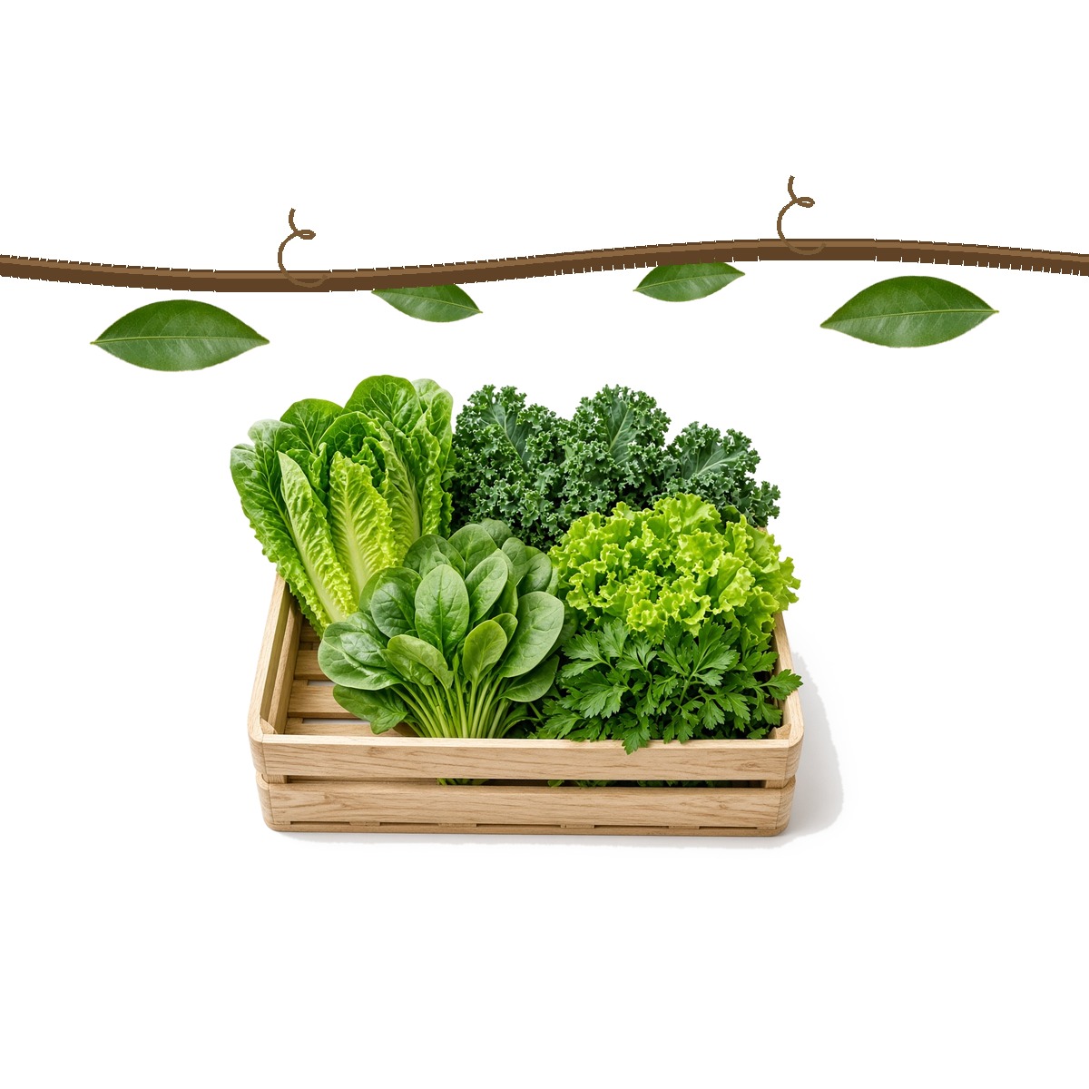 Fresh greens on the way